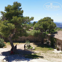 фото из отзыва ID 1972772