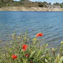 фото из отзыва ID 1972772