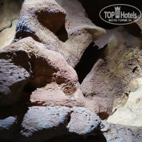 фото из отзыва ID 1972772