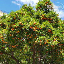 фото из отзыва ID 1972772