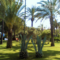 фото из отзыва ID 1972814