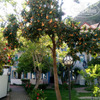 фото из отзыва ID 1972653