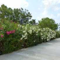 фото из отзыва ID 1972828