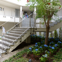 фото из отзыва ID 1972828