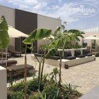 фото из отзыва ID 1972828