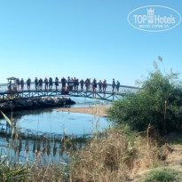 фото из отзыва ID 1970235