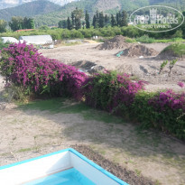 фото из отзыва ID 1972115