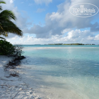 фото из отзыва ID 1972965