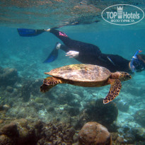 фото из отзыва ID 1972965