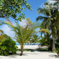 фото из отзыва ID 1972965