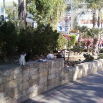 фото из отзыва ID 1972985