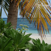 фото из отзыва ID 1972965