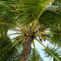 фото из отзыва ID 1972965