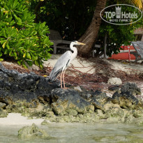 фото из отзыва ID 1972965