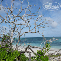 фото из отзыва ID 1972965