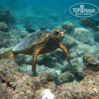 фото из отзыва ID 1972965