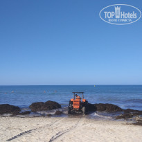 фото из отзыва ID 1972980