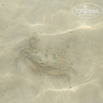 фото из отзыва ID 1972980