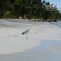 фото из отзыва ID 1972965