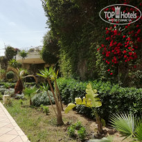 фото из отзыва ID 1973011