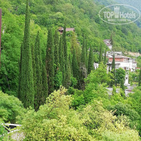 фото из отзыва ID 1973018