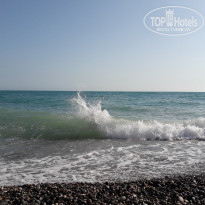 фото из отзыва ID 1973018