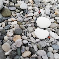 фото из отзыва ID 1973018