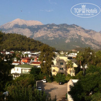 фото из отзыва ID 1973024