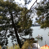 фото из отзыва ID 1970477