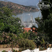 фото из отзыва ID 1970477