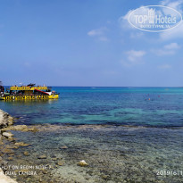 фото из отзыва ID 1973330