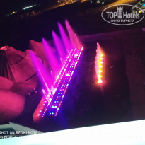 фото из отзыва ID 1973330