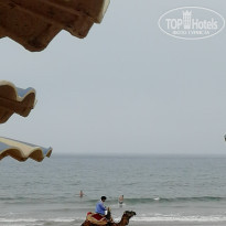 фото из отзыва ID 1973343