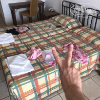 фото из отзыва ID 1973381