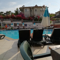 фото из отзыва ID 1973408