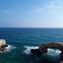 фото из отзыва ID 1972816