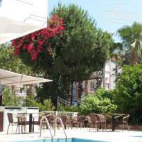 фото из отзыва ID 1972156