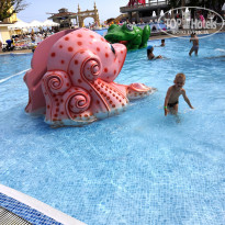 фото из отзыва ID 1973560