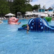 фото из отзыва ID 1973560