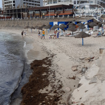 фото из отзыва ID 1973523