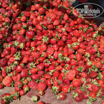 фото из отзыва ID 1973523