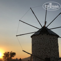 фото из отзыва ID 1973650