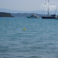 фото из отзыва ID 1973854