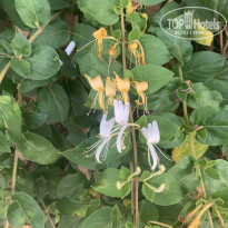 фото из отзыва ID 1973598