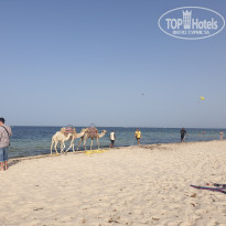 фото из отзыва ID 1973846