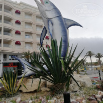 фото из отзыва ID 1973911