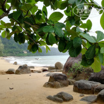 фото из отзыва ID 1974113