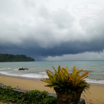 фото из отзыва ID 1974113