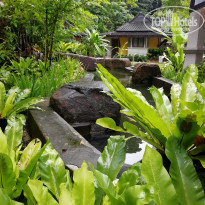 фото из отзыва ID 1974113