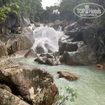 фото из отзыва ID 1974104